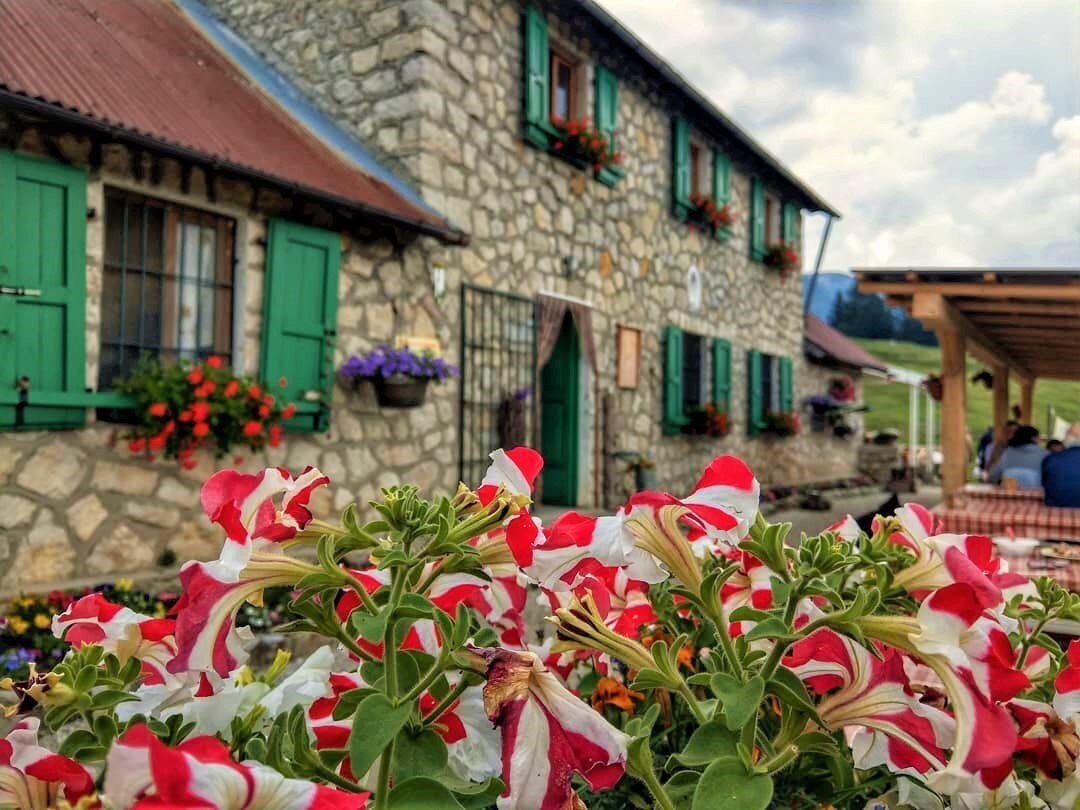 Trekking sull'Altopiano dei Sette Comuni Trekking sull'Altopiano dei Sette Comuni desktop picture