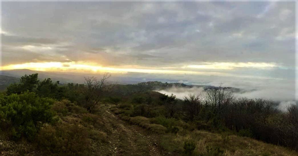 L’Anello di Bandita: I Dolci Sentieri tra il Rio Meri e il Bric dei Gorrei - POMERIGGIO L’Anello di Bandita: I Dolci Sentieri tra il Rio Meri e il Bric dei Gorrei - POMERIGGIO desktop picture