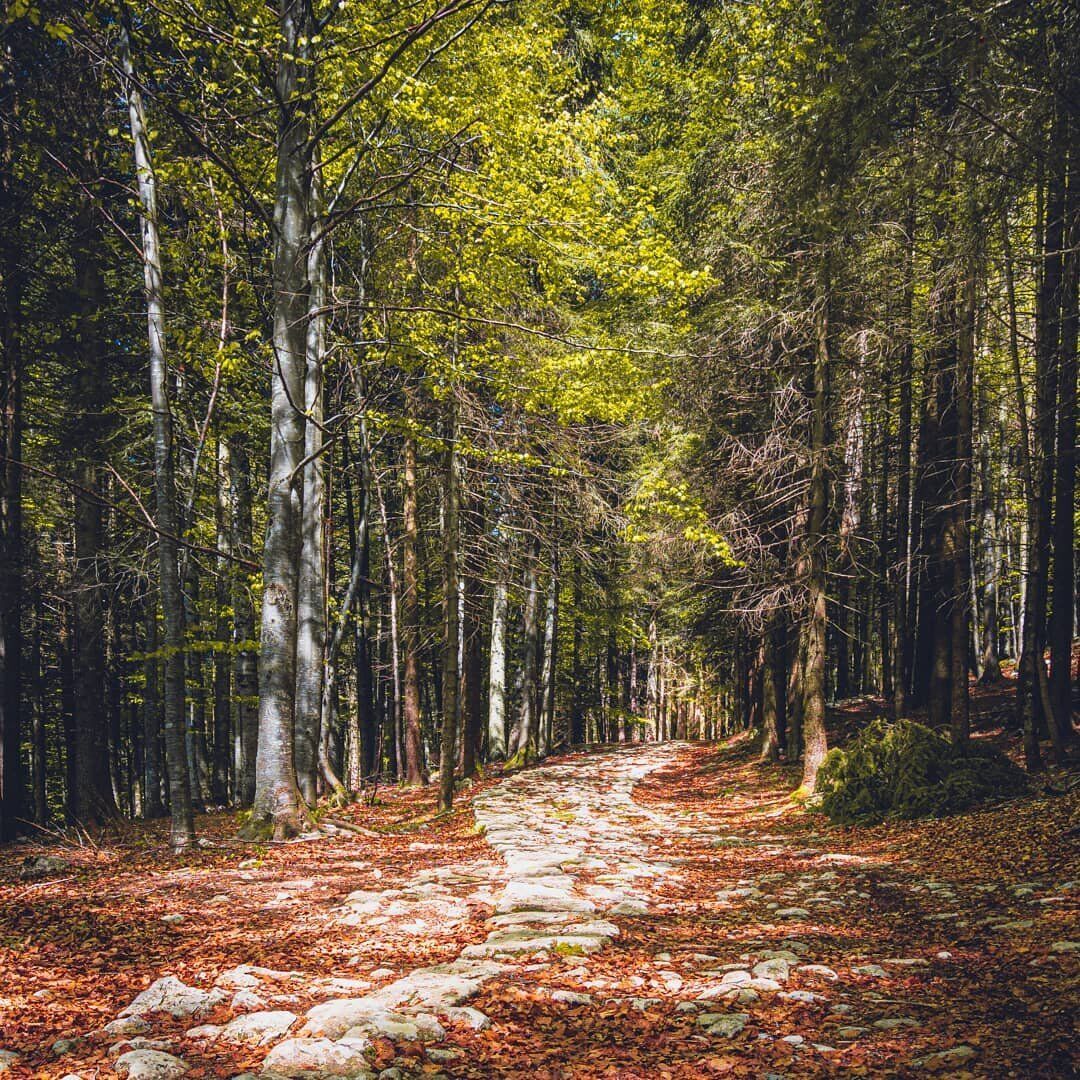 Camminata sull'Altopiano di Asiago: Letteratura d'Altura con Pizzata desktop picture