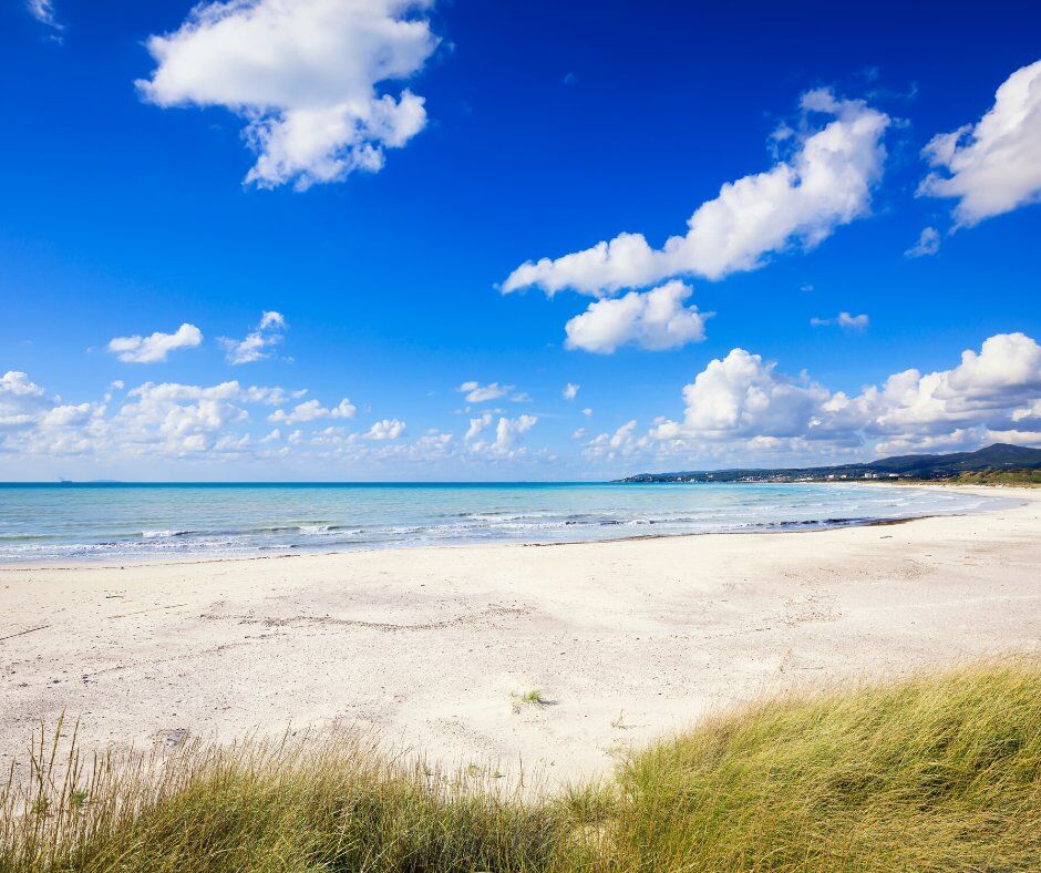 Alla Scoperta della Toscana Rurale: Tra Mare e Antiche Borgate Alla Scoperta della Toscana Rurale: Tra Mare e Antiche Borgate desktop picture