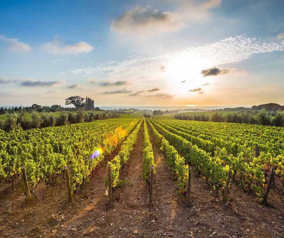Alla Scoperta della Toscana Rurale: Tra Mare e Antiche Borgate Alla Scoperta della Toscana Rurale: Tra Mare e Antiche Borgate desktop picture