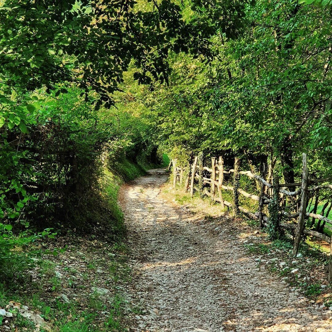 Escursione Panoramica alle Piramidi di Montevecchia Escursione Panoramica alle Piramidi di Montevecchia desktop picture
