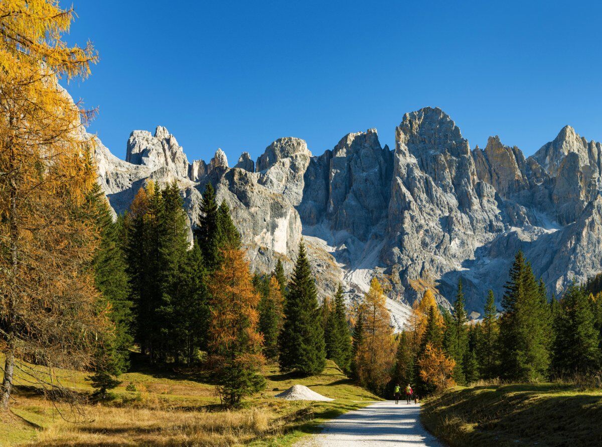 Escursione tra i Superbi Panorami delle Pale di San Martino desktop picture