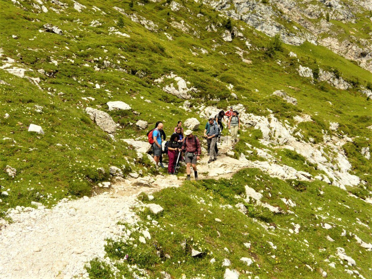 Escursione al Mondeval: Un Gioiello Preistorico nelle Dolomiti desktop picture