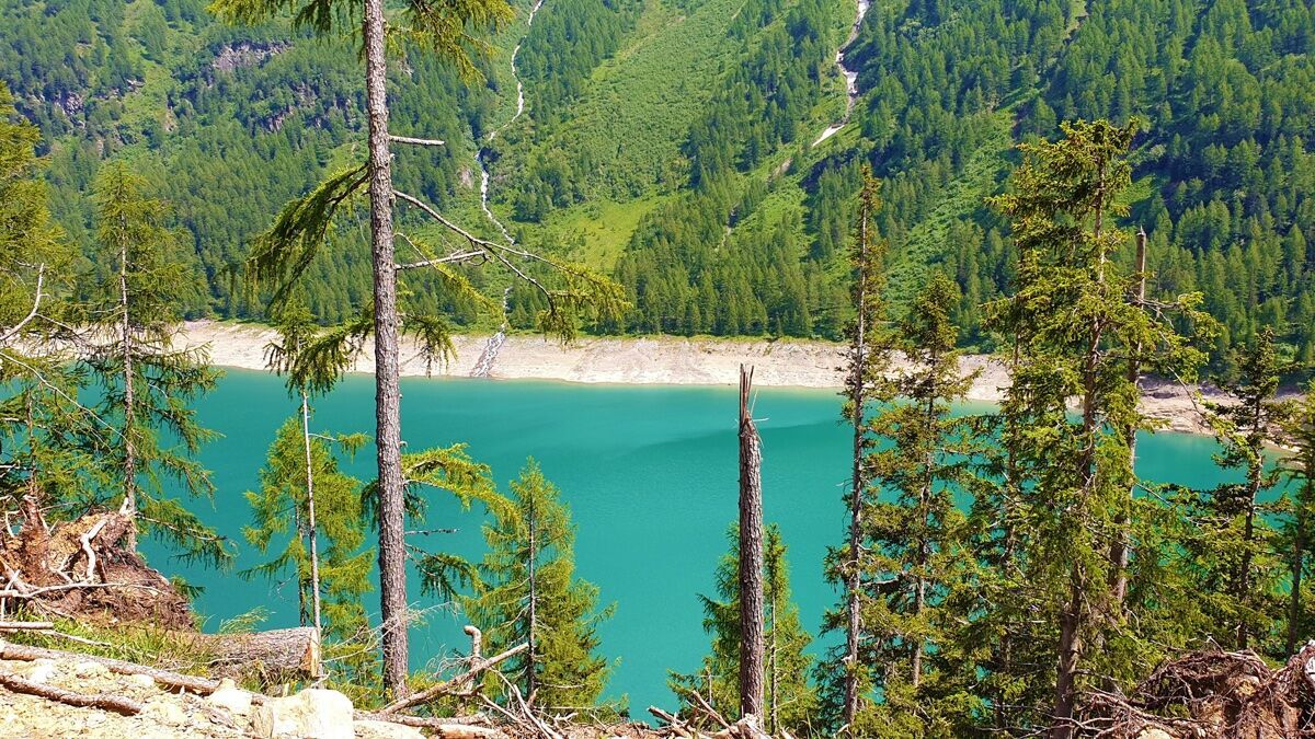 Escursione al Lago Palù: Immersi negli scenari della Valmalenco Escursione al Lago Palù: Immersi negli scenari della Valmalenco desktop picture