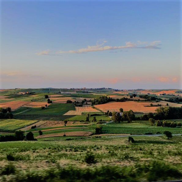 Big Bench Verde: Escursione con Vista sul Monferrato desktop picture