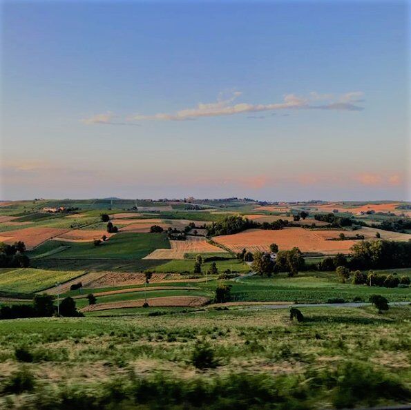 Big Bench Verde: Escursione con Vista sul Monferrato Big Bench Verde: Escursione con Vista sul Monferrato desktop picture