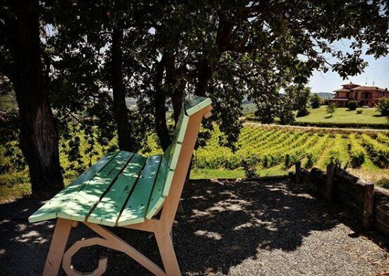 Big Bench Verde: Escursione con Vista sul Monferrato desktop picture