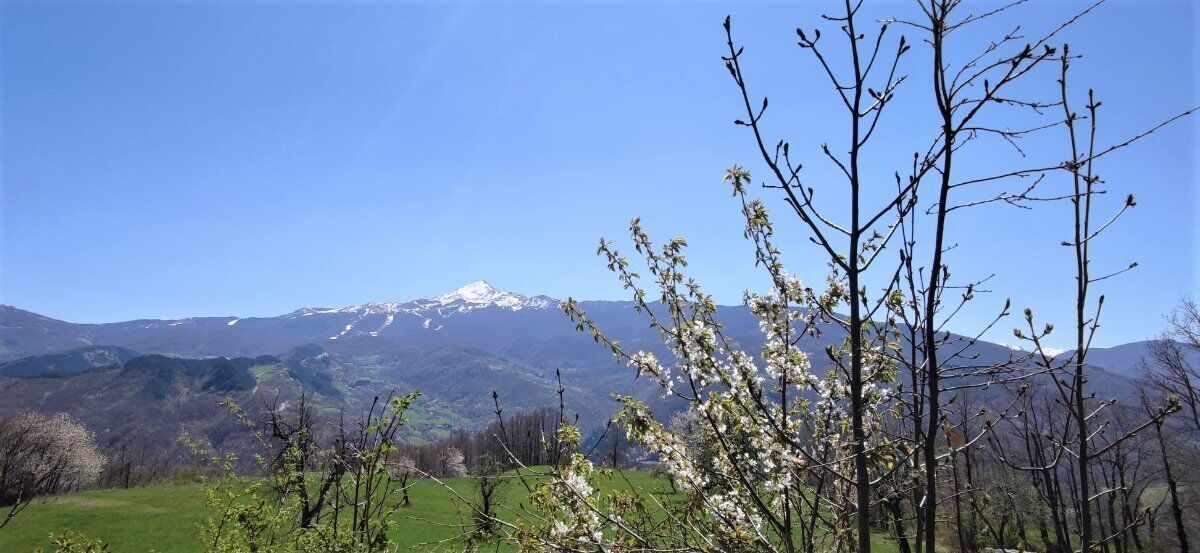 Pasquetta al birrificio del Cimone con degustazione di prodotti locali Pasquetta al birrificio del Cimone con degustazione di prodotti locali desktop picture