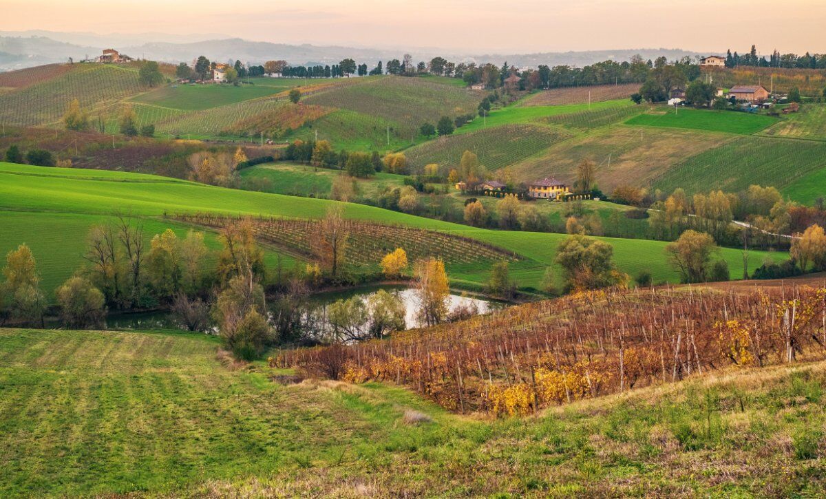 Escursione a Pignoletto, la Terra del Vino nei Colli Bolognesi desktop picture