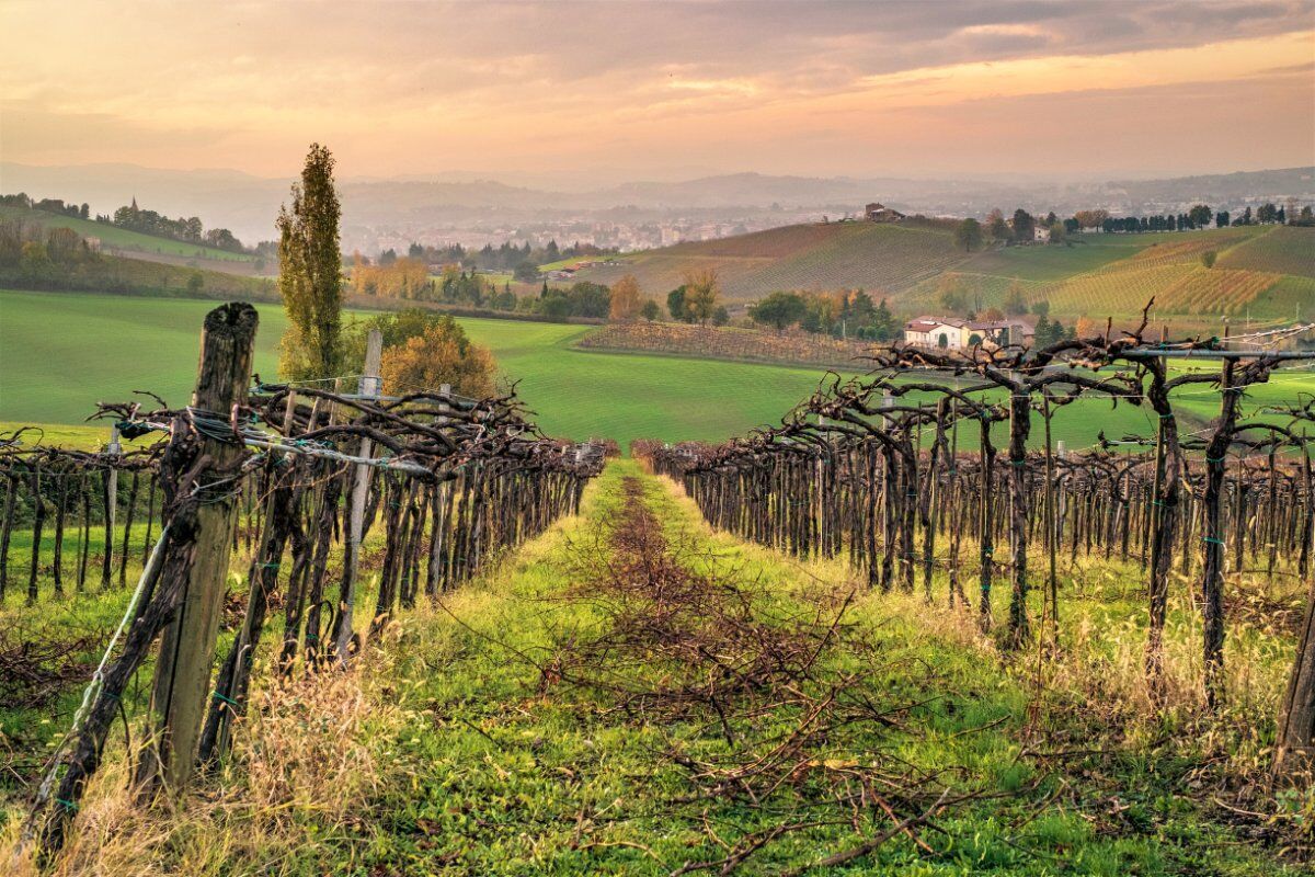 Escursione a Pignoletto, la Terra del Vino nei Colli Bolognesi desktop picture