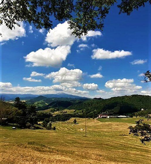 L’Antico Borgo di Verica: Tra Castelli Medievali e Perle Naturalistiche L’Antico Borgo di Verica: Tra Castelli Medievali e Perle Naturalistiche desktop picture