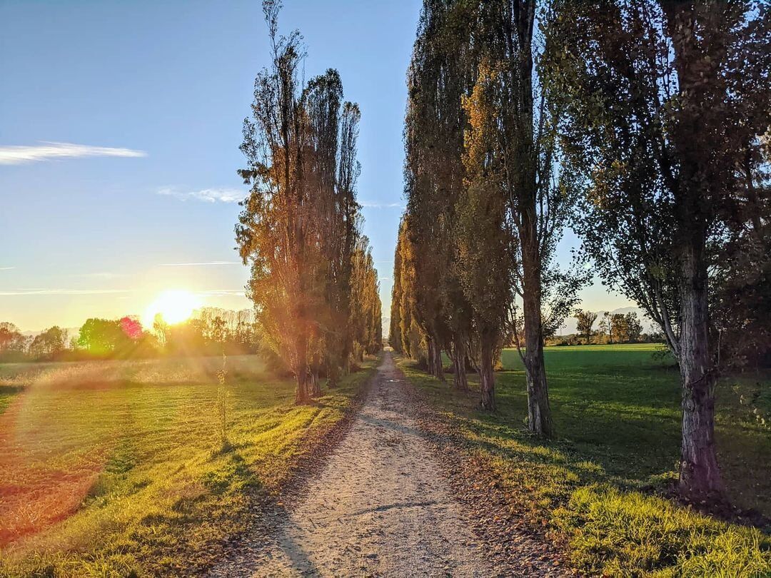 Una Passeggiata alla Scoperta del Borgo di Cornalese - POMERIGGIO Una Passeggiata alla Scoperta del Borgo di Cornalese - POMERIGGIO desktop picture