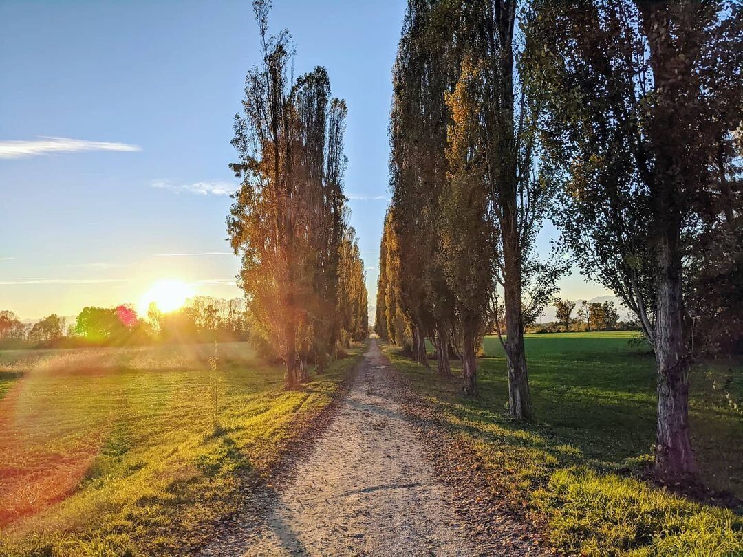 Una Passeggiata alla Scoperta del Borgo di Cornalese - POMERIGGIO desktop picture