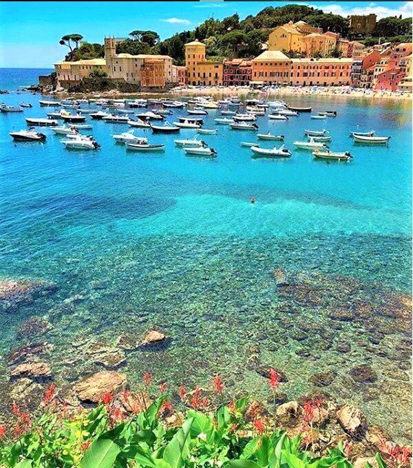 Una Settimana da Sogno in Liguria: Tra le Cinque Terre e Portofino desktop picture