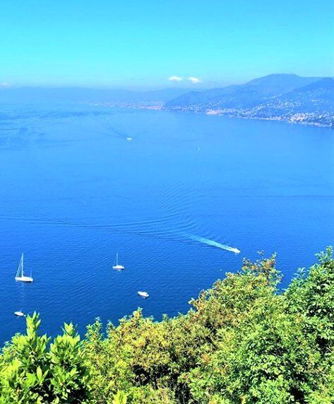 Una Settimana da Sogno in Liguria: Tra le Cinque Terre e Portofino desktop picture