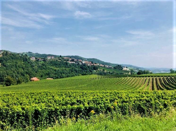 Loazzolo e i Sentieri del Vino: Terre dal Fascino Senza Tempo - POMERIGGIO desktop picture