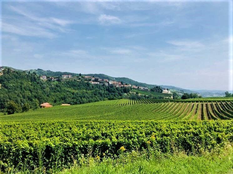 Loazzolo e i Sentieri del Vino: Terre dal Fascino Senza Tempo - POMERIGGIO Loazzolo e i Sentieri del Vino: Terre dal Fascino Senza Tempo - POMERIGGIO desktop picture