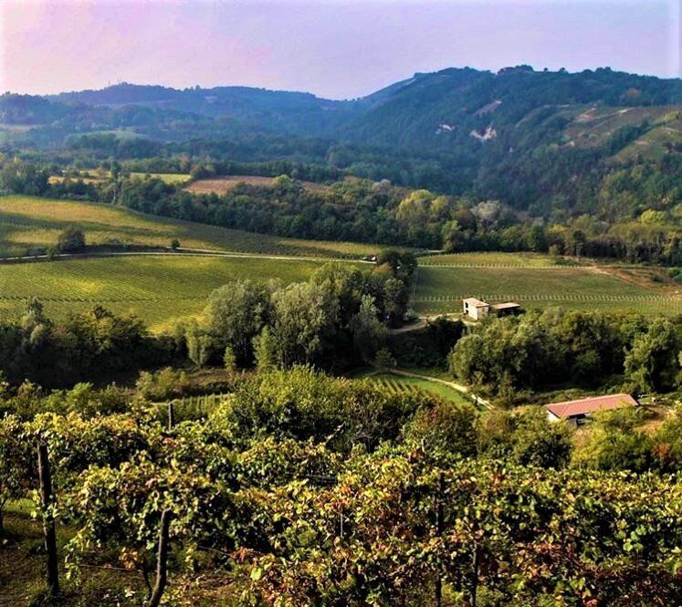 Loazzolo e i Sentieri del Vino: Terre dal Fascino Senza Tempo - POMERIGGIO Loazzolo e i Sentieri del Vino: Terre dal Fascino Senza Tempo - POMERIGGIO desktop picture