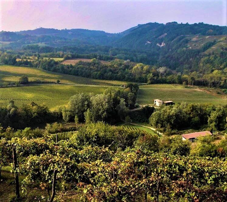 Loazzolo e i Sentieri del Vino: Terre dal Fascino Senza Tempo - POMERIGGIO desktop picture