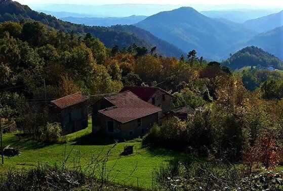 I Suggestivi Sentieri da Cartosio a Ponzone: Tra Natura e Panorami - POMERIGGIO I Suggestivi Sentieri da Cartosio a Ponzone: Tra Natura e Panorami - POMERIGGIO desktop picture