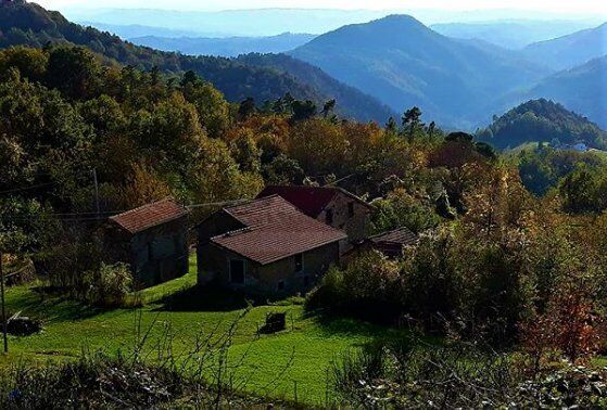 I Suggestivi Sentieri da Cartosio a Ponzone: Tra Natura e Panorami - POMERIGGIO desktop picture