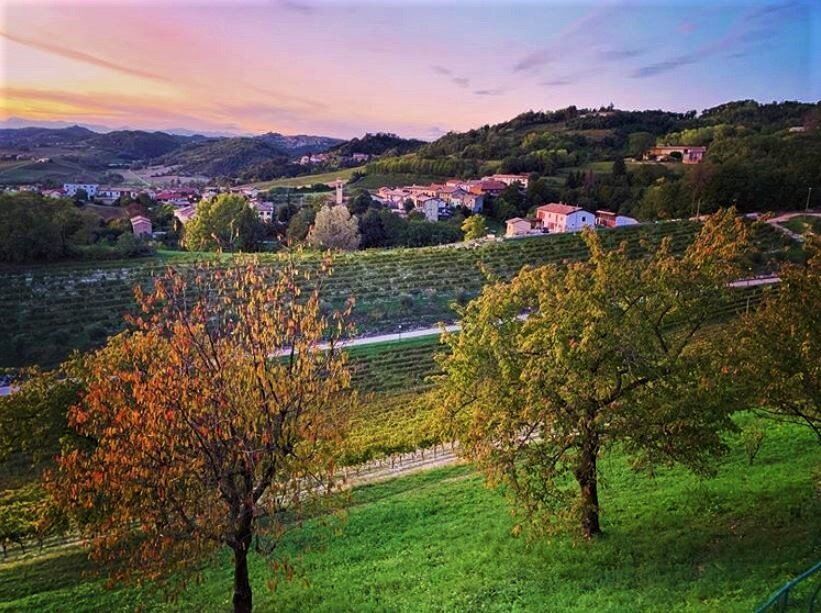 Colli di Monferrato: Tra Storia e Natura nelle Alture Piemontesi - POMERIGGIO desktop picture