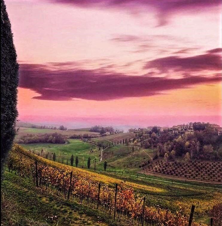 Colli di Monferrato: Tra Storia e Natura nelle Alture Piemontesi - POMERIGGIO desktop picture