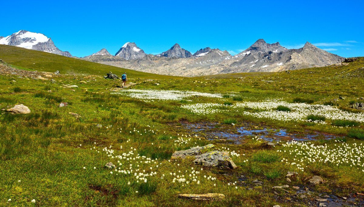 Passeggiata al crepuscolo lungo il Lago di Ceresole Reale desktop picture