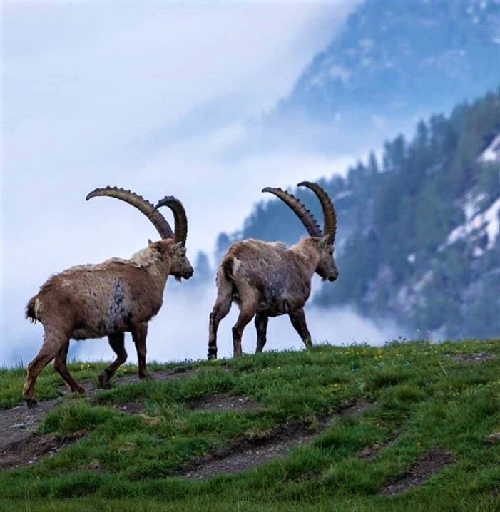 Quando Natura e Magia si Incontrano: Escursione al Lago Serrù - POMERIGGIO desktop picture