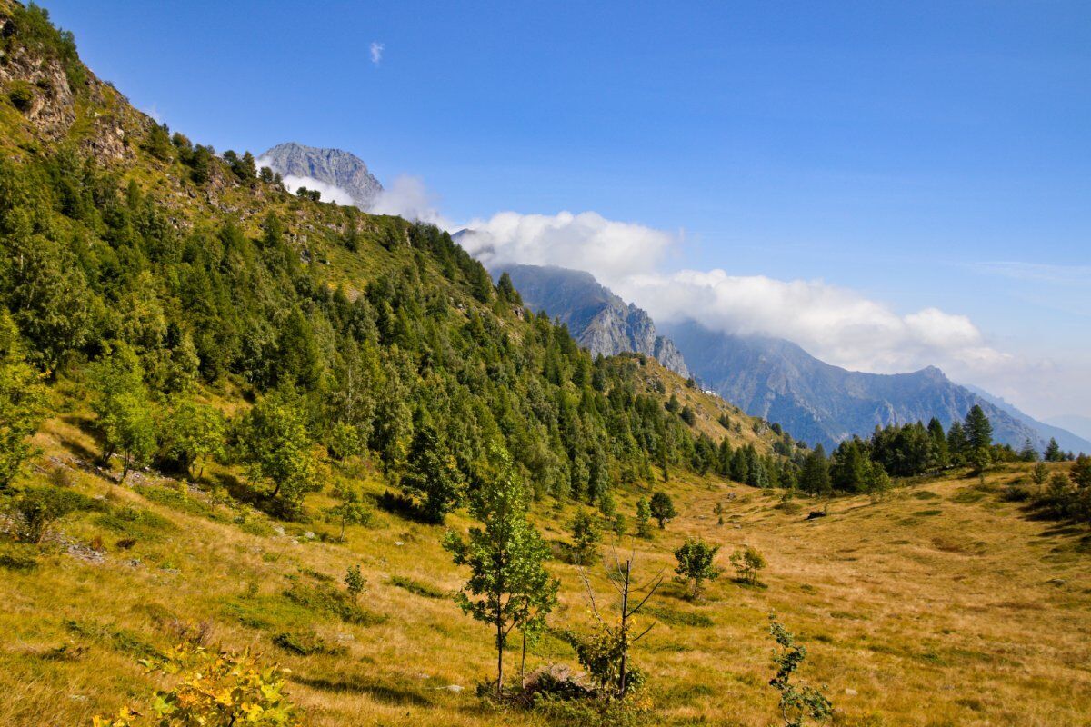 Nella Val d’Ala: Trekking sui Passi di Antiche Incisioni Rupestri desktop picture