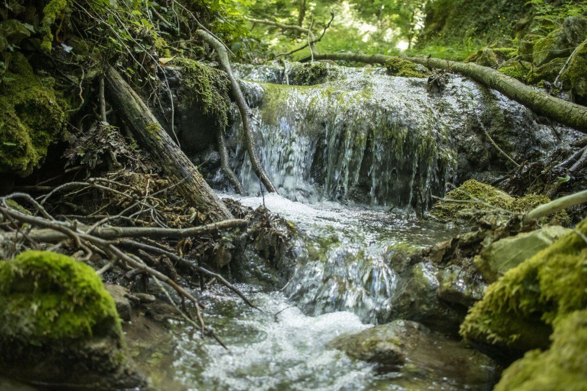 I Tesori Marchigiani: Camminata dalle Sorgenti dell'Esino ad Esanatoglia desktop picture