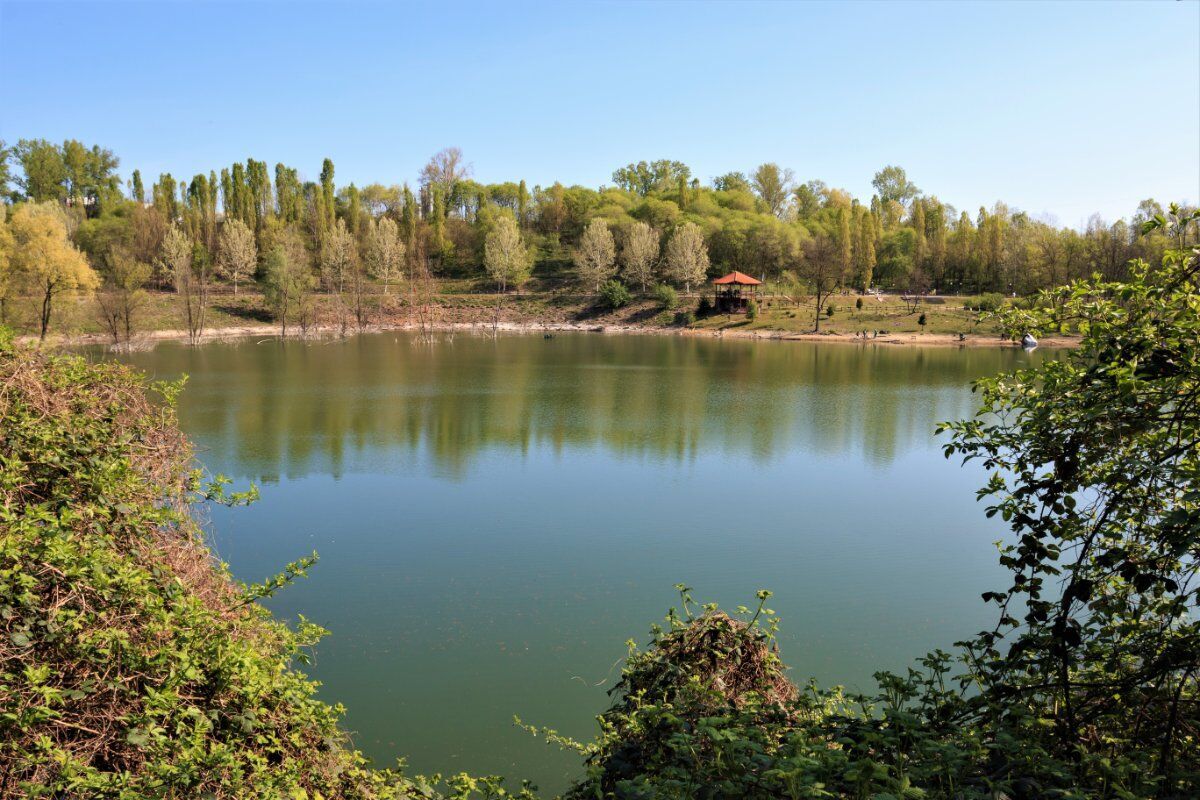 Gli Affascinanti Sentieri dell'Oasi Naturale del Parco degli Aironi Gli Affascinanti Sentieri dell'Oasi Naturale del Parco degli Aironi desktop picture