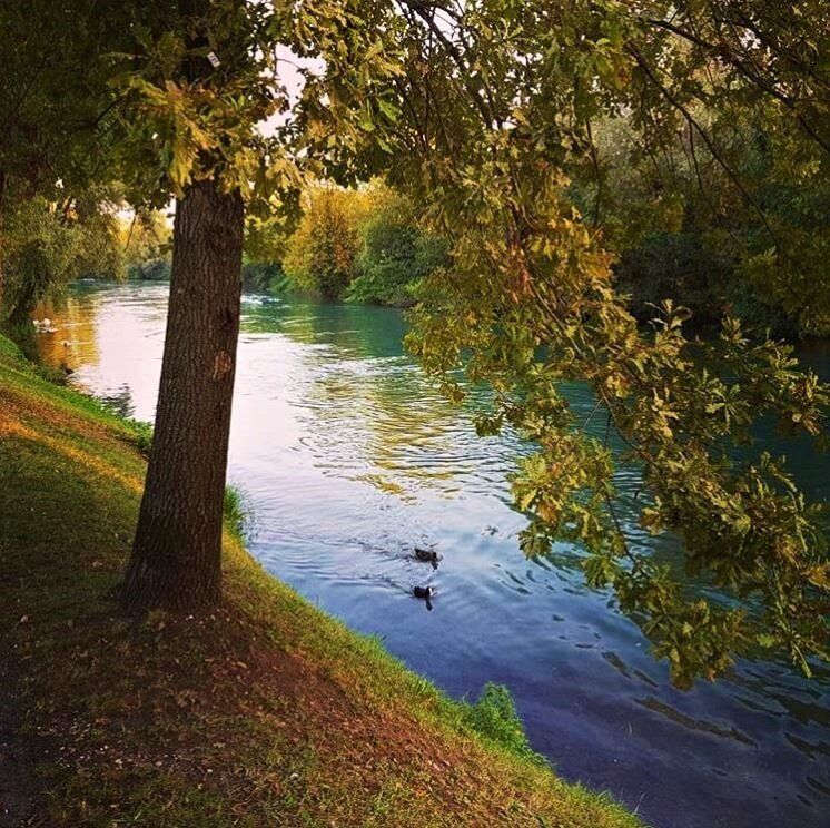Una Dolce Passeggiata nel Parco Naturale del Fiume Sile - MATTINA Una Dolce Passeggiata nel Parco Naturale del Fiume Sile - MATTINA desktop picture