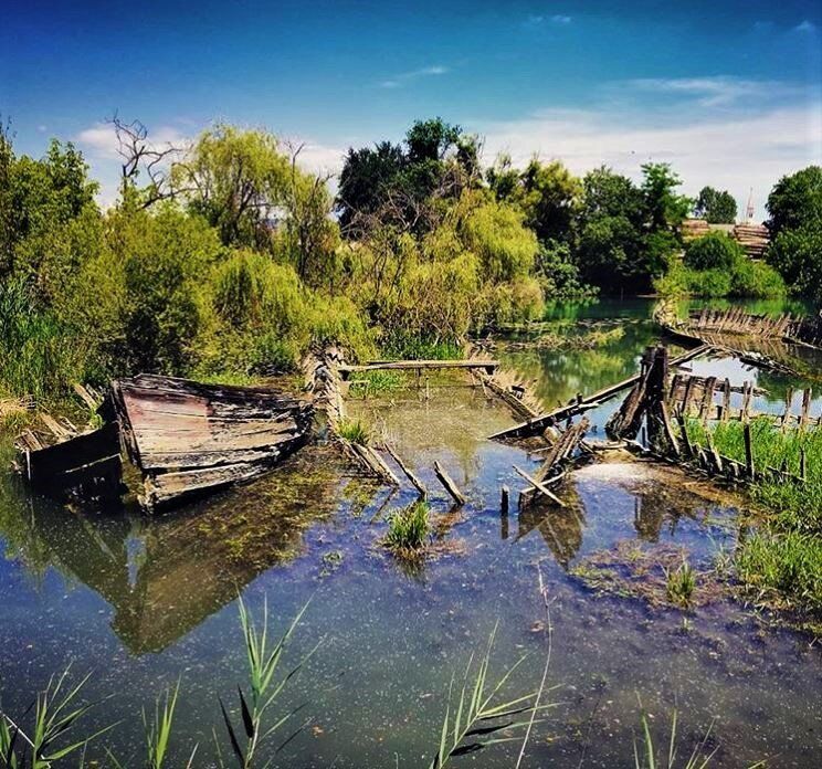 Una Dolce Passeggiata nel Parco Naturale del Fiume Sile - MATTINA Una Dolce Passeggiata nel Parco Naturale del Fiume Sile - MATTINA desktop picture