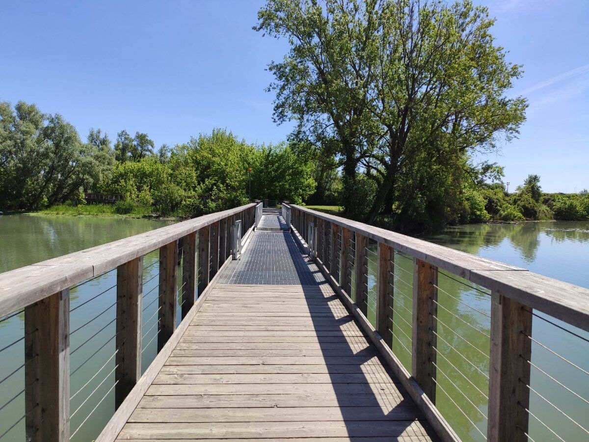 Dolce Passeggiata nel Parco Naturale del Fiume Sile Dolce Passeggiata nel Parco Naturale del Fiume Sile desktop picture
