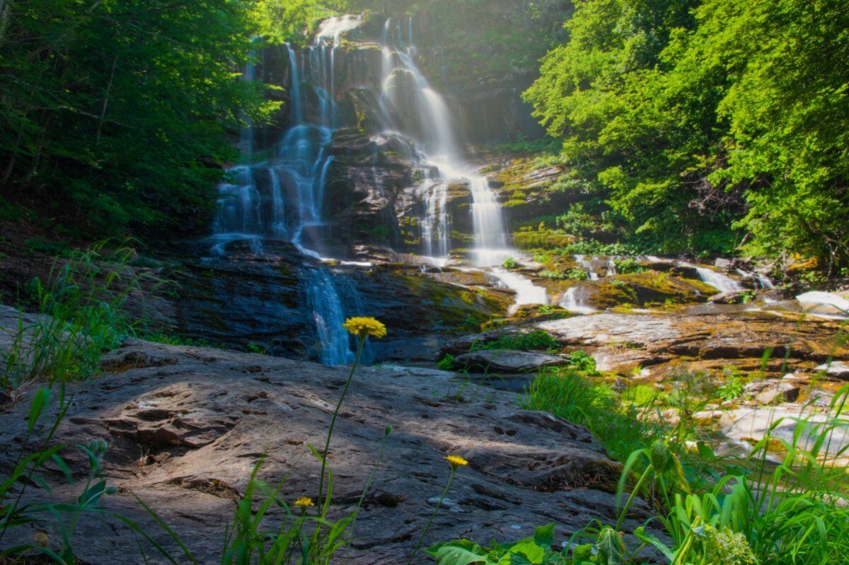 Le Cascate del Doccione: Trekking Sensoriale ai Piedi del Crinale - POMERIGGIO Le Cascate del Doccione: Trekking Sensoriale ai Piedi del Crinale - POMERIGGIO desktop picture