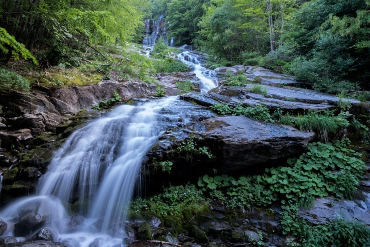 Le Cascate del Doccione: Trekking Sensoriale ai Piedi del Crinale - POMERIGGIO Le Cascate del Doccione: Trekking Sensoriale ai Piedi del Crinale - POMERIGGIO desktop picture