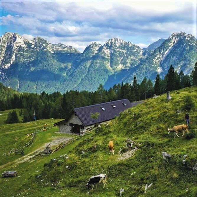 I Pascoli del Cielo: Percorso tra Storia e Natura nei Monti di Ledro I Pascoli del Cielo: Percorso tra Storia e Natura nei Monti di Ledro desktop picture