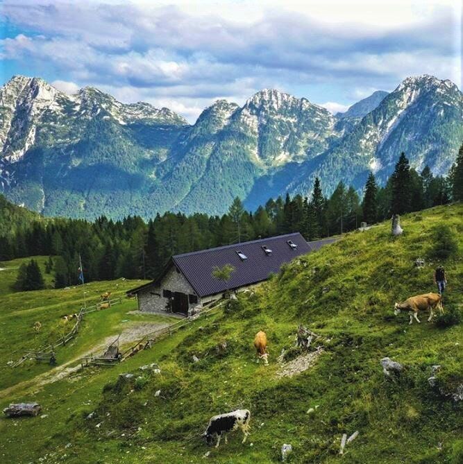 I Pascoli del Cielo: Percorso tra Storia e Natura nei Monti di Ledro desktop picture