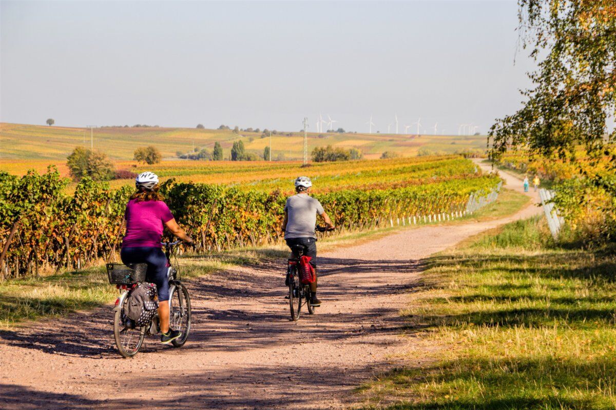 Biciclettata nelle Terre del Prosecco: Tra Vigneti e Antiche Borgate desktop picture