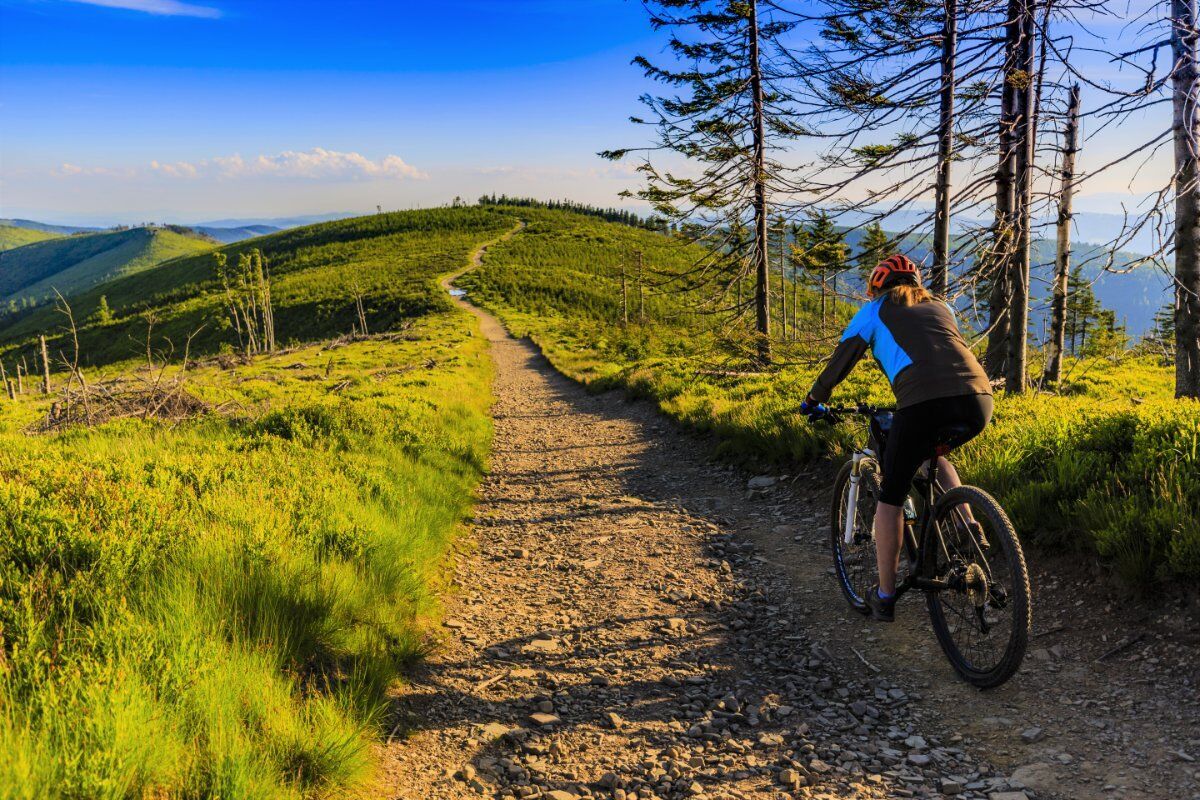 E-Bike Tour alla Scoperta delle Malghe Trevigiane desktop picture