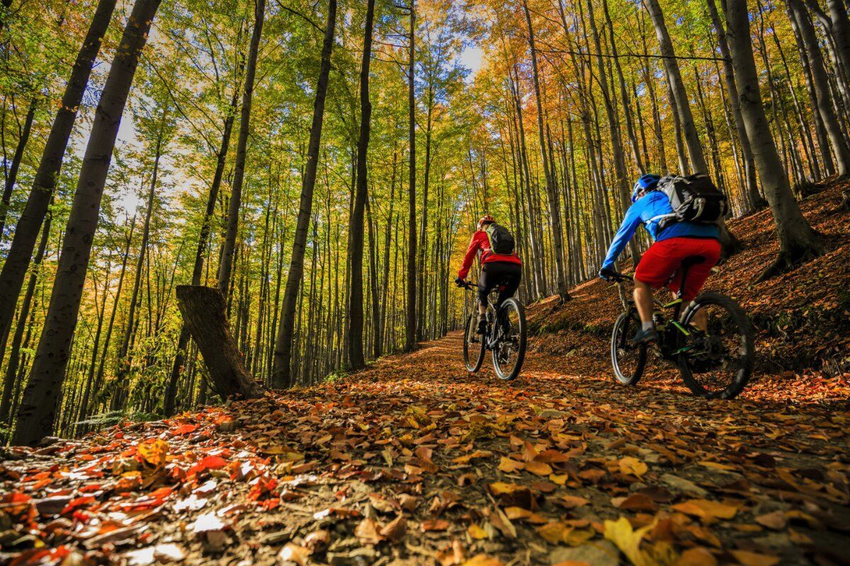 E-Bike Tour alla Scoperta delle Malghe Trevigiane desktop picture