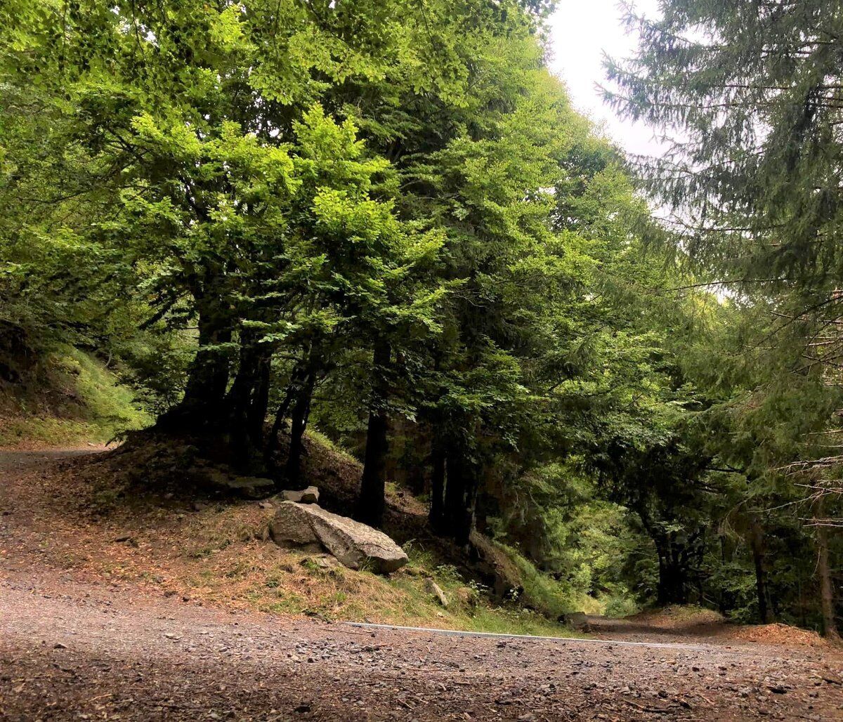 Camminata leggendaria ai piedi del Cimone: le Capanne Celtiche Camminata leggendaria ai piedi del Cimone: le Capanne Celtiche desktop picture