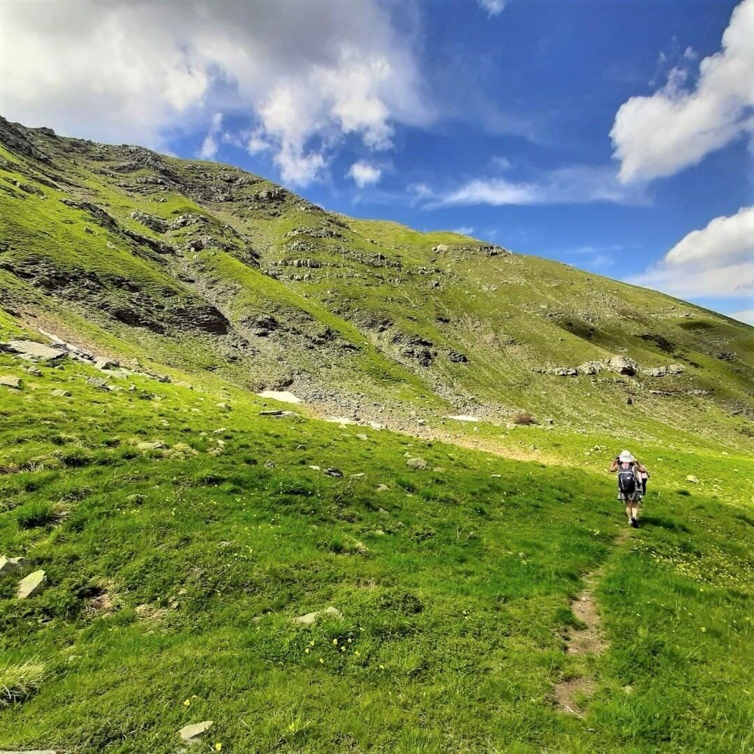 Le Magiche Distese dell'Appennino: Camminata da Abetone a Libro Aperto desktop picture