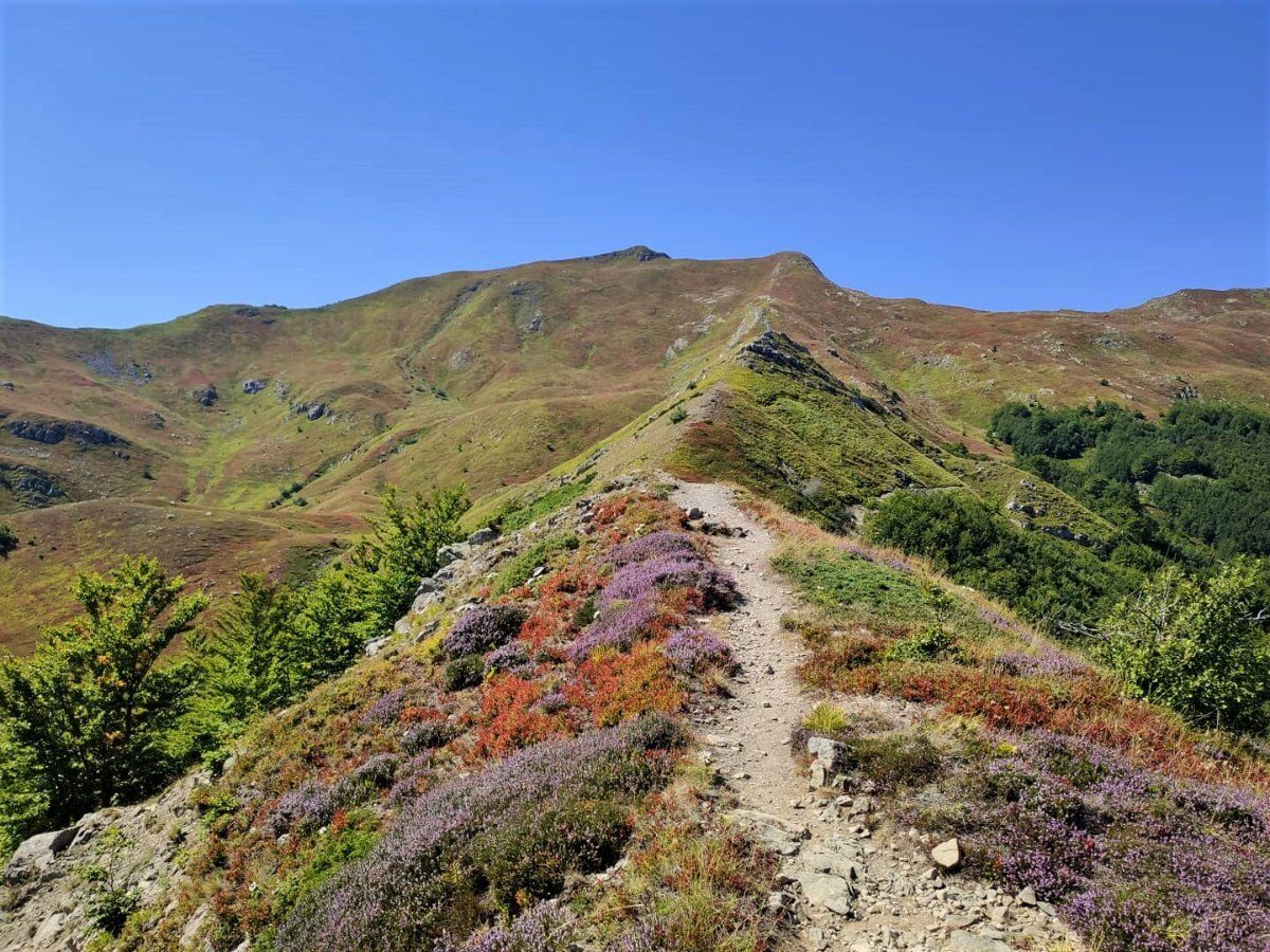 Le Magiche Distese dell'Appennino: Camminata da Abetone a Libro Aperto desktop picture