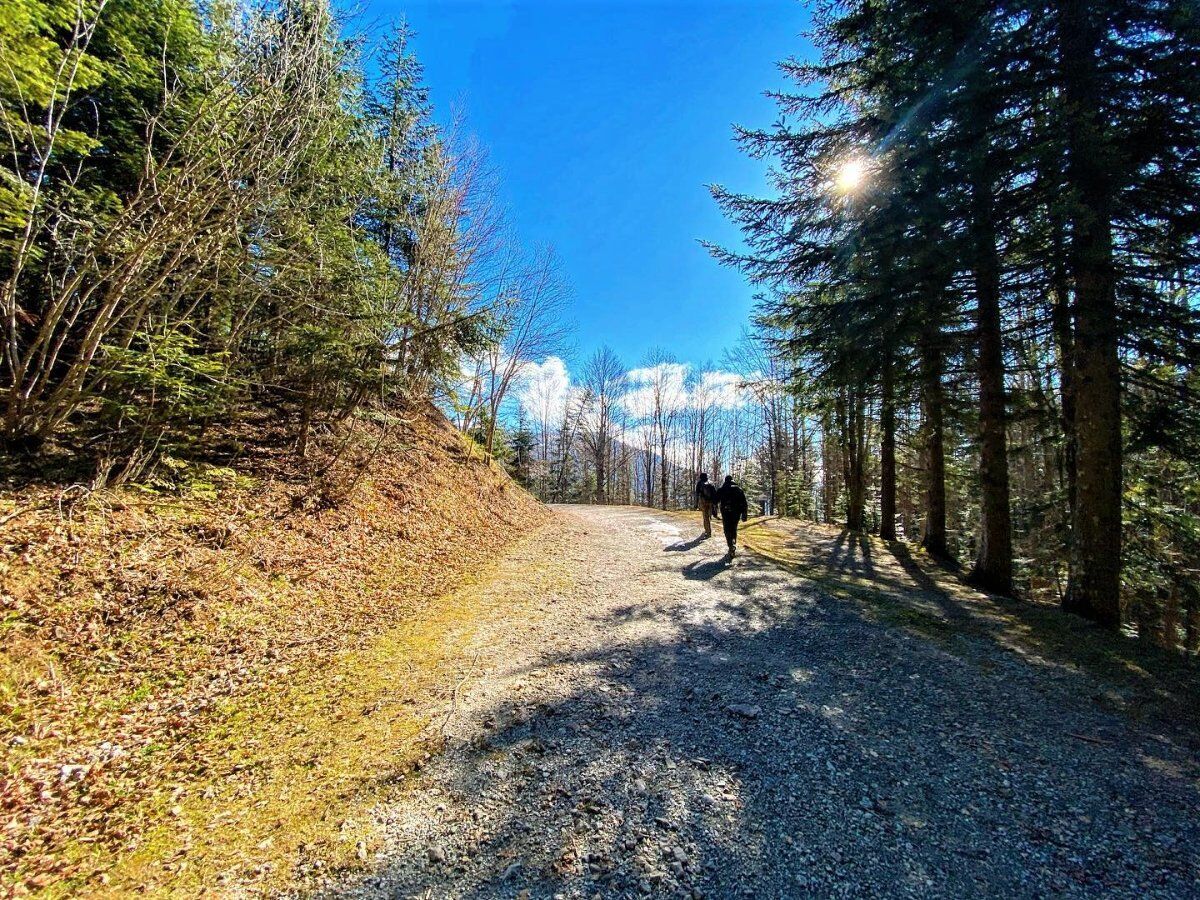 Le Magiche Distese dell'Appennino: Camminata da Abetone a Libro Aperto desktop picture