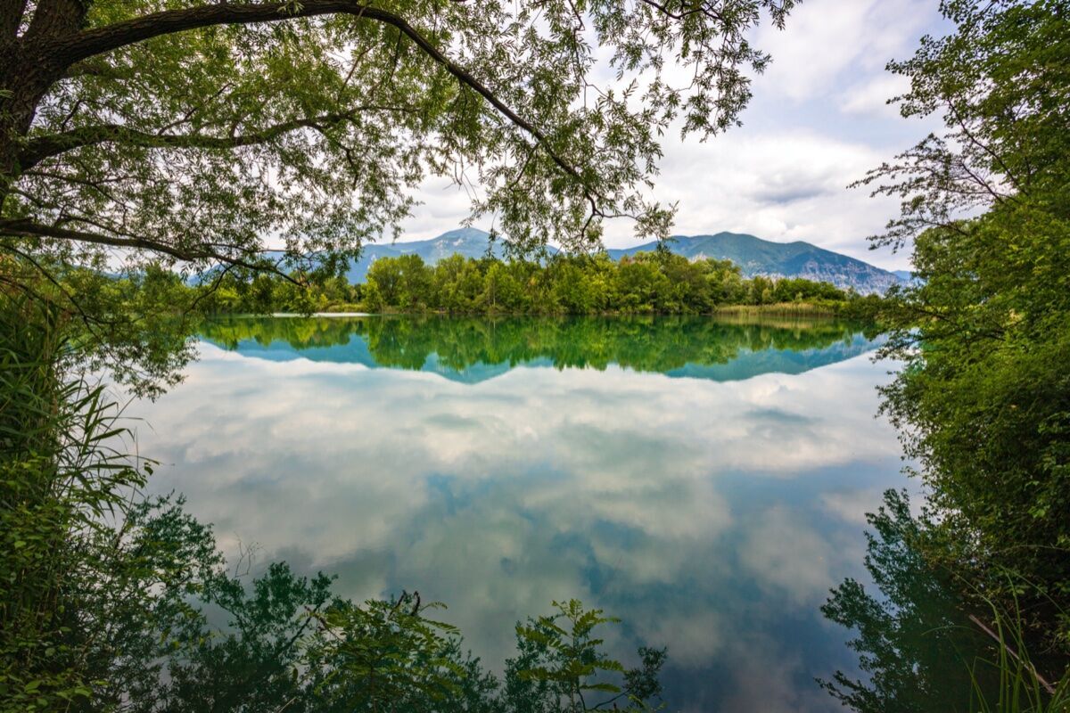 Dolce Passeggiata nella Riserva Naturale delle Torbiere del Sebino Dolce Passeggiata nella Riserva Naturale delle Torbiere del Sebino desktop picture