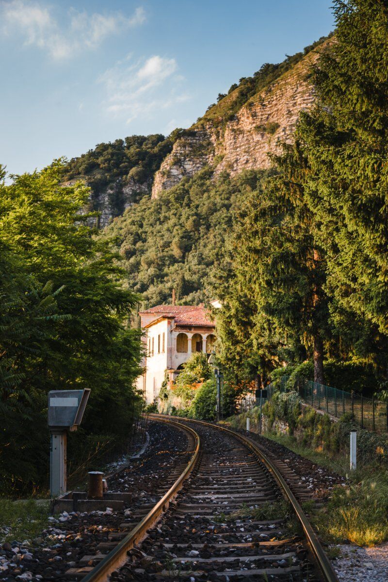 Dolce Passeggiata nella Riserva Naturale delle Torbiere del Sebino desktop picture