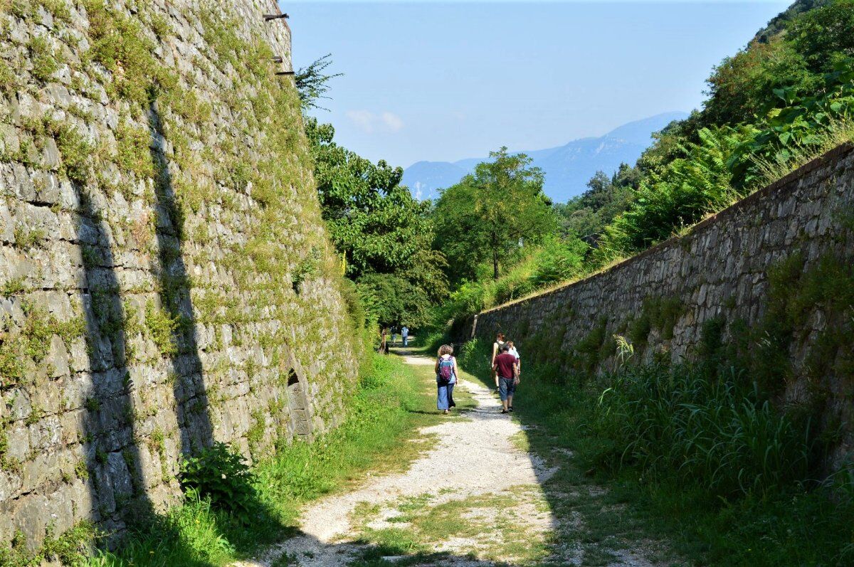 Dolce Passeggiata nella Riserva Naturale delle Torbiere del Sebino Dolce Passeggiata nella Riserva Naturale delle Torbiere del Sebino desktop picture